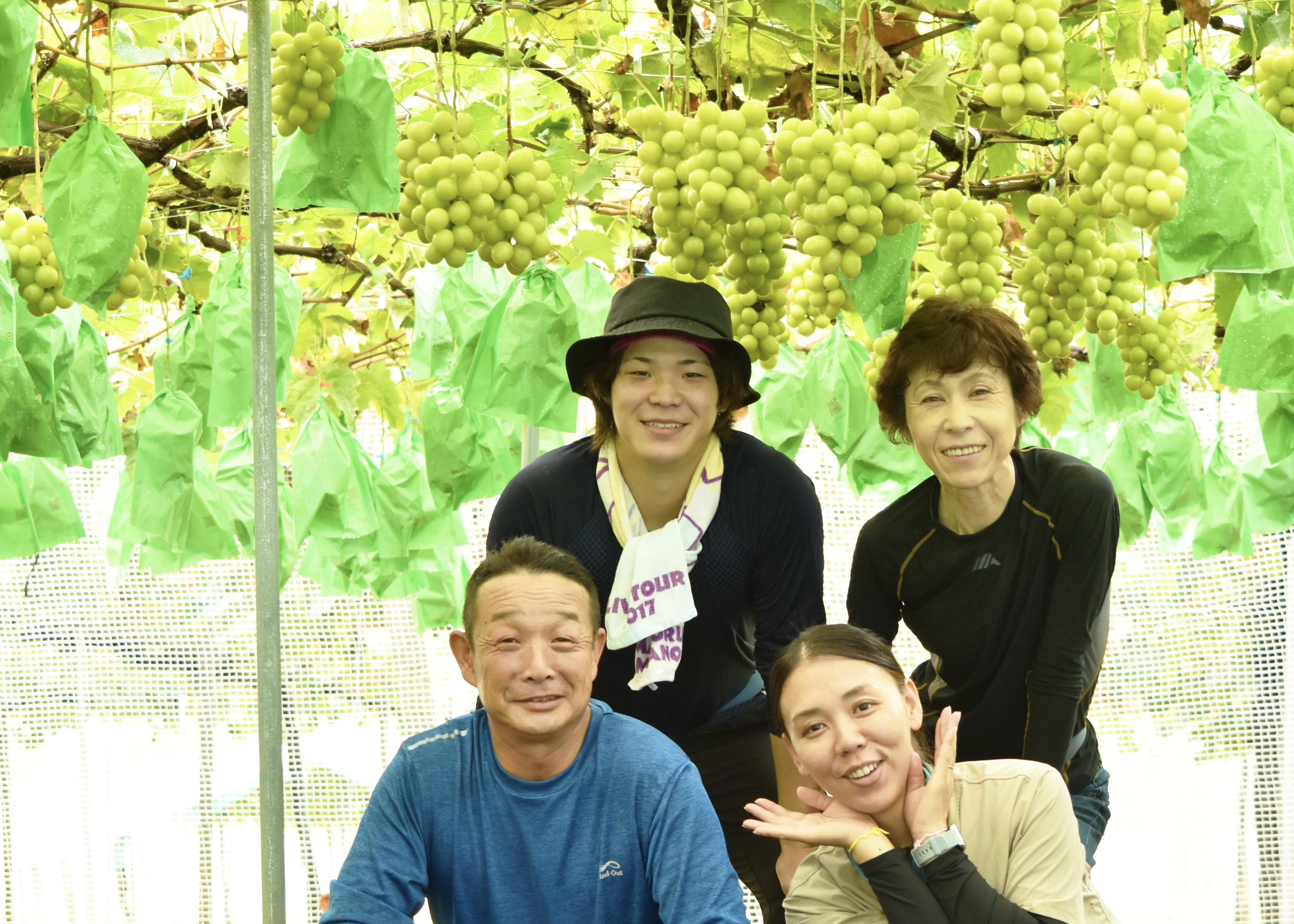 
            ＜25年発送先行予約＞宮原さんちの朝どれシャインマスカット2kg 157-022
          