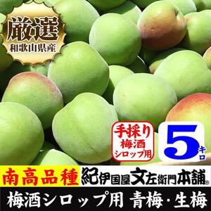 南高梅【緑】5kg 大サイズ  梅酒用 フレッシュ青梅（生梅）／紀伊国屋文左衛門本舗