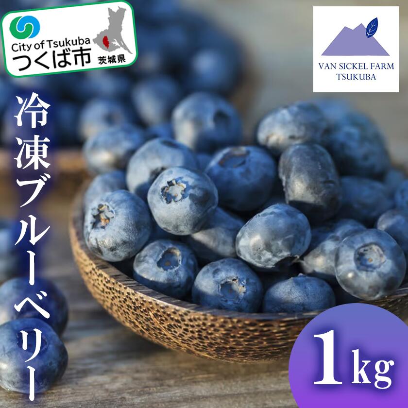 【ふるさと納税】茨城県つくば市産 冷凍ブルーベリー 1kg | 茨城県 つくば市 ブルーベリー 国産 ベリー スイーツ トッピング 栄養 ジャム 果実 果物 パンケーキ