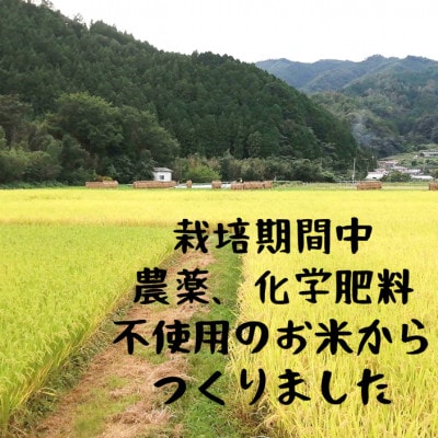 かきのき村のお米でつくった白米麺と玄米麺のセット(各3袋入り)