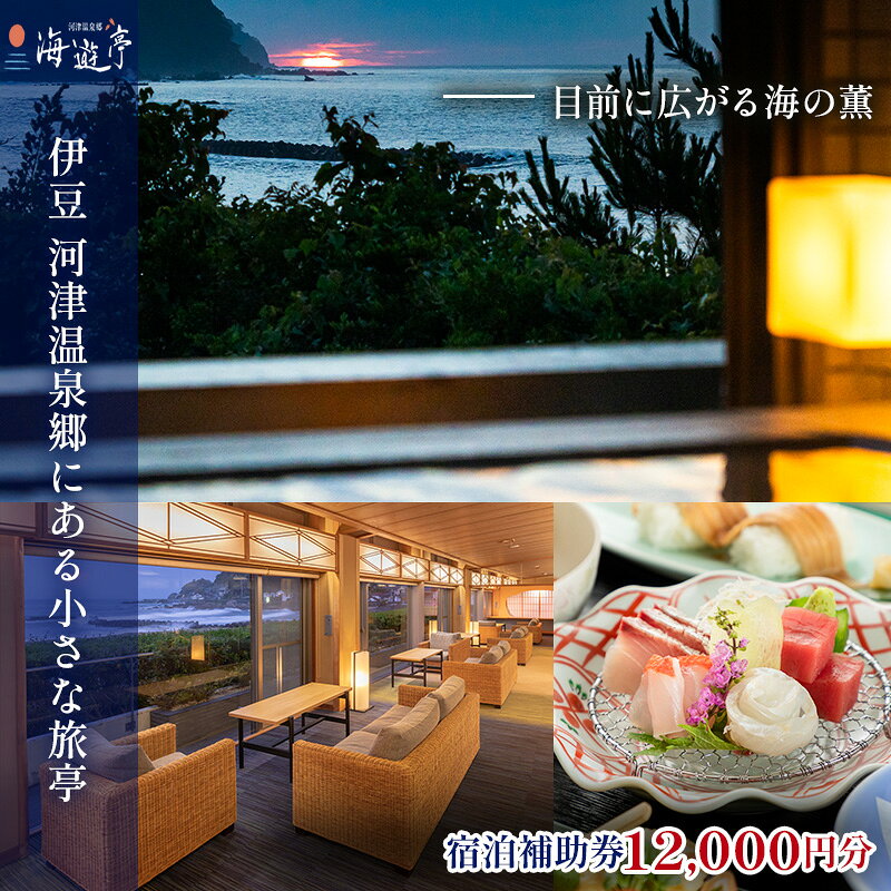 【ふるさと納税】宿泊補助券 旅行 12000円分 温泉 オーシャンビュー 宿泊 宿 観光 国内旅行 ファミリー カップル 一人旅 チケット 宿泊券 旅行券 券 ギフト券 施設利用券 家族 記念日 静岡県 海遊亭 伊豆 河津温泉 旅館 ホテル 河津町