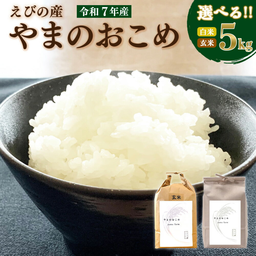 【ふるさと納税】≪先行予約≫米 新米 ひのひかり 5kg 白米 玄米 選べる 令和7年産 九州 霧島 えびの産 ヒノヒカリ 農家 直送 お米 おこめ 精米 ふるさと納税 5キロ えらべる 九州産 宮崎県産 宮崎県 えびの市 えびの市産 国産 国産米 送料無料 ご飯 ごはん 白飯 単一原料米