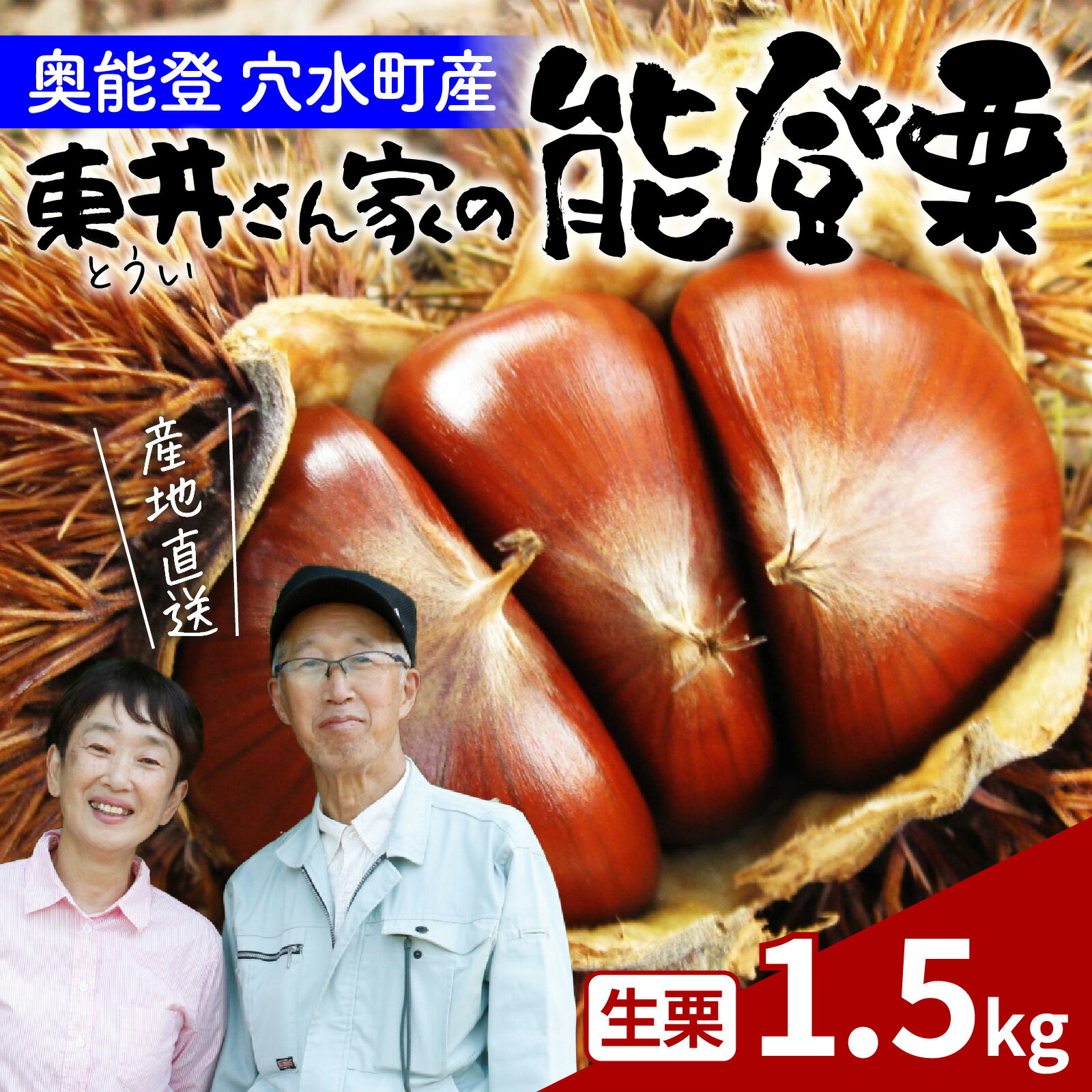 【ふるさと納税】【先行予約】東井栗園の能登栗 1.5kg ～能登の大地で育った能登栗～【2025年9月下旬以降順次発送】/ 能登半島 奥能登 くり 生栗 マロン 和栗 焼き栗 栗ごはん 焼き栗 国産 果物 送料無料
