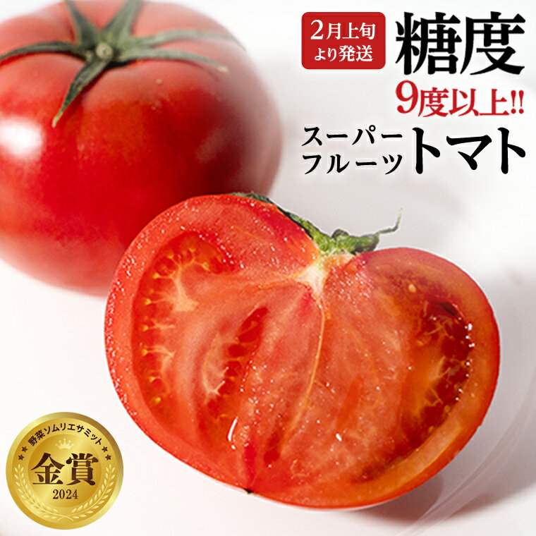 【ふるさと納税】《 2026年収穫分 先行予約 》 糖度9度以上 スーパーフルーツトマト 約800g ～ 2.6kg × 1箱 ～ 3箱 定期便 フルーツトマト ブランドトマト 野菜 ギフト 贈答