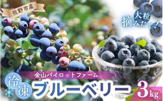 【数量限定】冷凍 ブルーベリー 3kg 急速冷凍 フルーツ 果物 くだもの スムージー ジャム 朝食 デザート 特産品 人気 国産 旬 金山パイロットファーム 三重県 熊野市 【2026年9月頃から順次発送】【knpr0011】