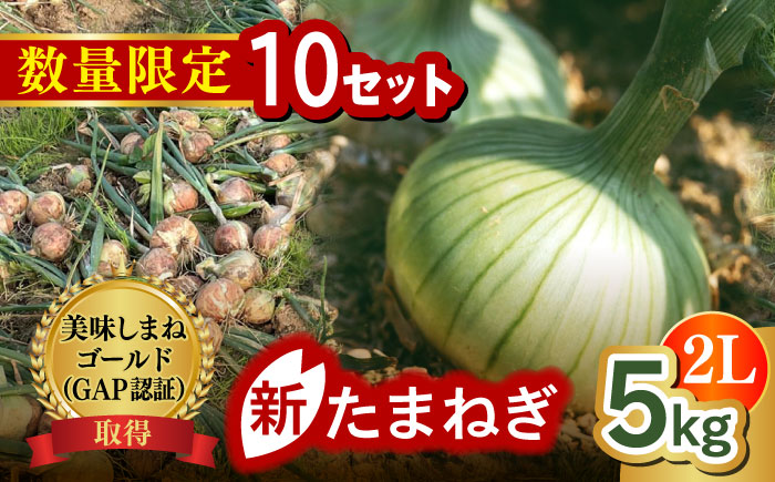 【数量限定10個】【先行予約/2026年6月上旬以降順次発送】美味しまねゴールド認証取得! 松江市産　春おとずれ新たまねぎ 2Lサイズ 5kg 島根県松江市/mishiro farm [ALIJ004