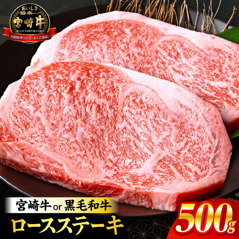 【ふるさと納税】総合1位【数量限定】【発送時期が選べる】宮崎牛or黒毛和牛ロースステーキ250g×2 宮崎牛 A4 黒毛和牛 牛肉 肉 お肉 牛 ロースステーキ ステーキ ロース ステーキ肉 焼肉 焼き肉 ふるさと