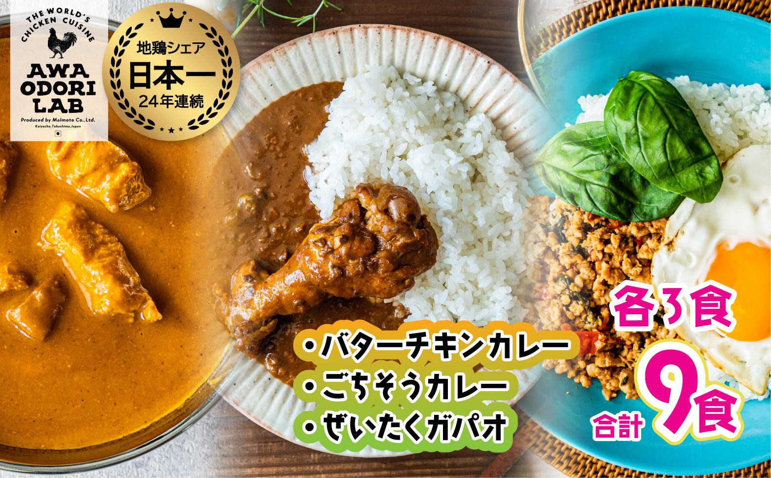 旅する阿波尾鶏シリーズ 3種 各3食入 計9食 バターチキンカレー ごちそうカレー ぜいたくガパオ カレー ガパオ タイ料理 常温 レトルト