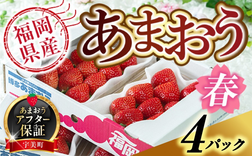 
                  いちご あまおう 福岡産 春 4パック 【期間限定発送】 [南国フルーツ 福岡県 宇美町 um40azo970041] 先行予約 イチゴ 苺 フルーツ 果物 果実 甘い 小分け あまい
                