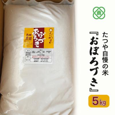 ふるさと納税 恵庭市 令和7年度産【北海道産】たつや自慢の米『おぼろづき』5kg【35001503】