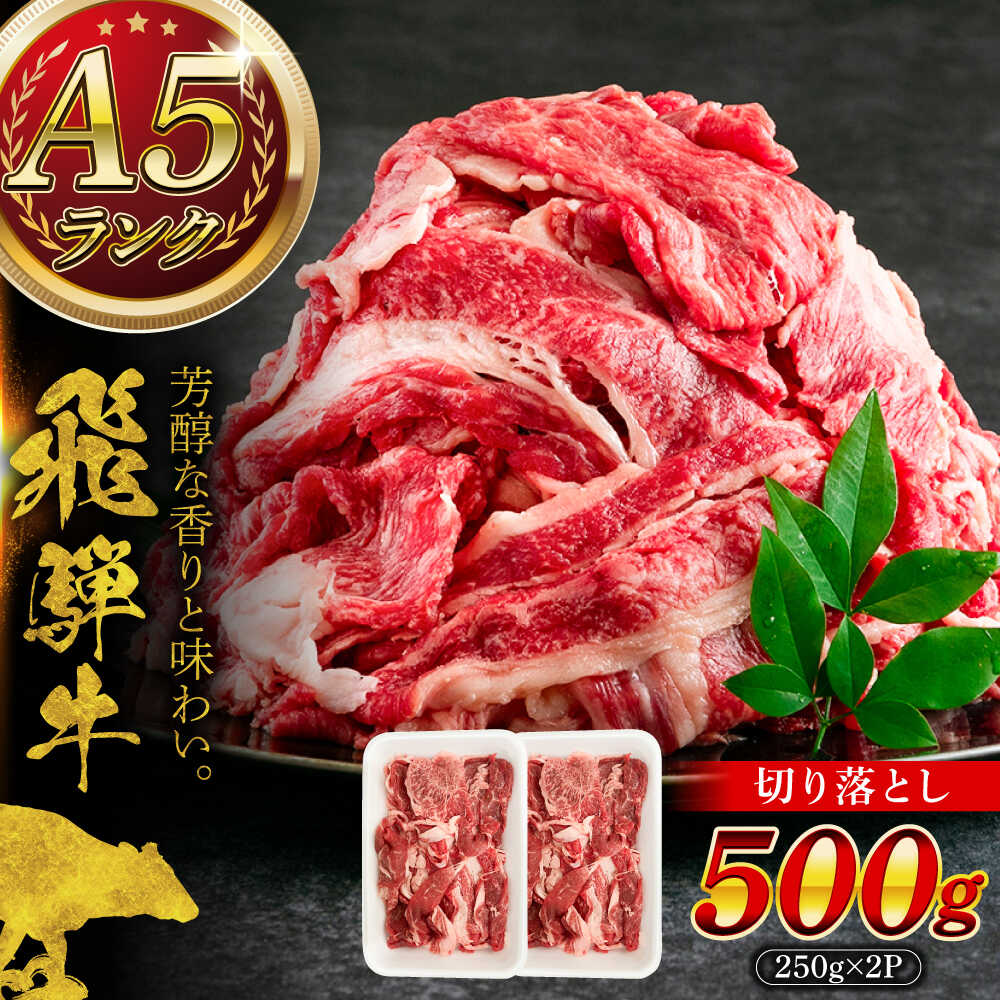 【ふるさと納税】A5等級 飛騨牛 切り落とし 500g (250g×2P) 瑞浪市 / マルチョウ渡辺精肉店 牛肉 和牛 国産 ギフト お取り寄せ[AZCW001]