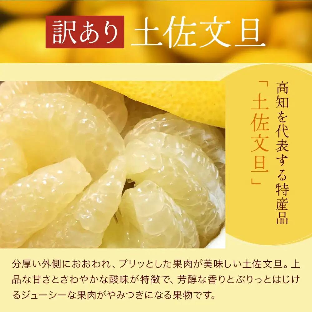 【先行予約】高知県産 訳あり 土佐文旦 約5kg 〈2027年1月下旬頃から発送〉文旦 傷 文旦 シミの訳あり文旦 大容量 ぶんたん 文旦 訳あり わけあり 果物 【株式会社　四国健商】[ATAF14
