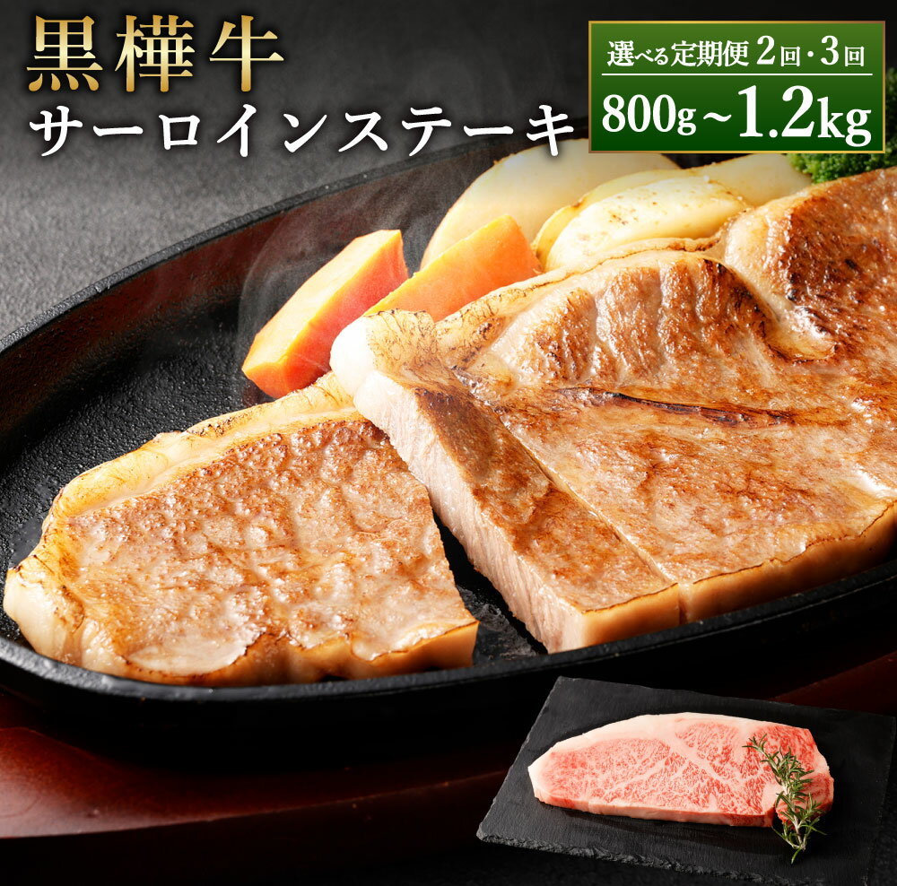 【ふるさと納税】【選べる定期便】黒樺牛 サーロインステーキ 1回あたり計約400g 2回 3回 定期便 計約800g 計約1.2kg くまもと黒毛和牛 黒毛和牛 霜降り 和牛 牛肉 肉 お肉 サーロイン ステーキ ステーキ用 冷凍 お取り寄せ グルメ 九州 熊本県 湯前町 送料無料