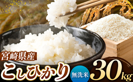 令和7年産 こしひかり 30kg ( 5kg × 6袋 ) ( 無洗米 ) 宮崎県産