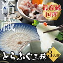 【ふるさと納税】 とらふぐセット（3人前）薬味付き｜ 筑豊魚市場の目利きと技術でご自宅が高級料亭に！産直だから大容量！ フグ刺し フグ鍋 刺身 鍋 とらふぐ三昧セット 送料無料 U01-02