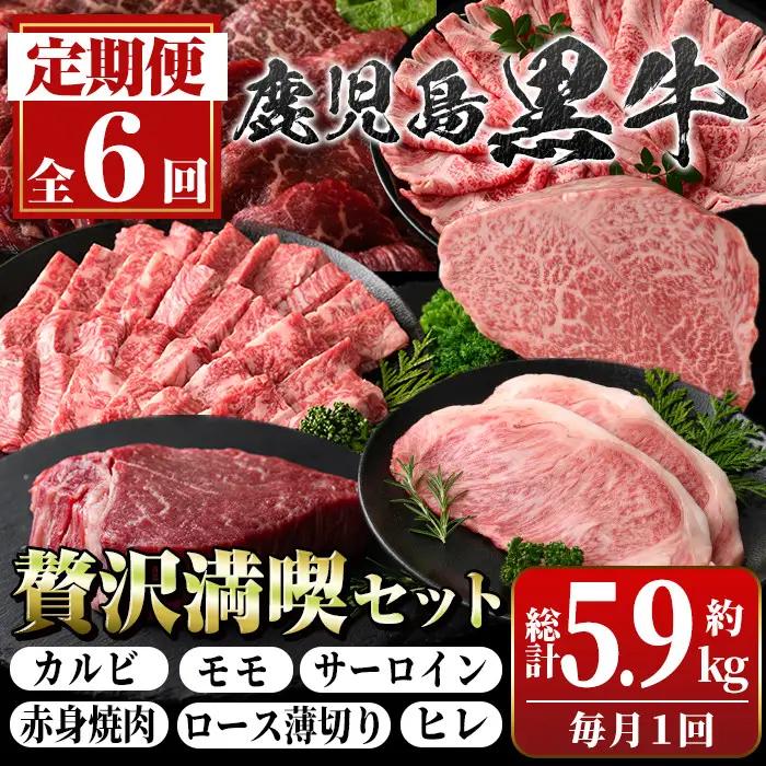【6回定期便】鹿児島黒牛 贅沢満喫セット(全6種・合計5.9kg) 牛肉【新村畜産】G01003