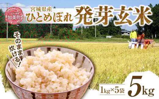簡単に炊ける 宮城県産 ひとめぼれ 発芽玄米5kg [菅原商店 宮城県 加美町] 米 こめ コメ 玄米 発芽玄米 ご飯 | sg00004-r601-5kg