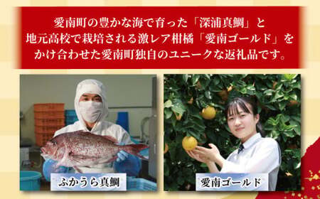訳あり かつおのたたき 1kg と 愛南ゴールド 真鯛 200g お試し セット 10000円 サイズ 不揃い 規格外 カツオたたき 鰹たたき カツオ タタキ 肉 厚 養殖 タイ みかん 河内晩柑 柑