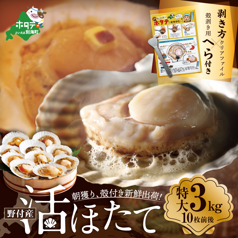 【緊急支援品】朝どり 新鮮出荷 活ホタテ 特大 3kg前後(10枚前後)　【UY0000013】