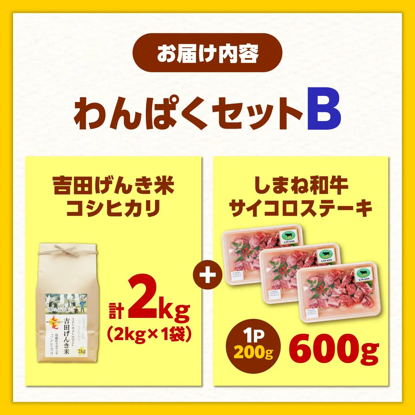 【ふるさと納税限定】わんぱくセット＜B＞しまね和牛サイコロステーキ 600g・吉田げんき米コシヒカリ（令和7年産×2kg）ステーキ 米 [AIDN012]