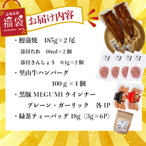 【ふるなび限定】志布志市福袋！！鰻とお肉のおかず(名水慈鰻2尾＆里山牛ハンバーグ4個＆黒豚MEGUMIウインナー2P＆お茶 総計約1kg) うなぎ 鰻 蒲焼き ハンバーグ ウインナー 黒豚 FN-Li
