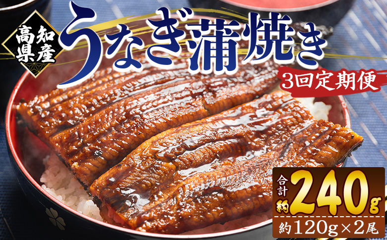 【３回定期便】高知県産養殖うなぎ蒲焼き 100～120g 2尾 Wfb-0038