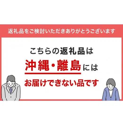 氷見産ぶり！切身真空3種9切・ぶり生ハム（ほたるいか素干し3袋付き）　【魚貝類・干物・加工食品・ぶり・ブリ】