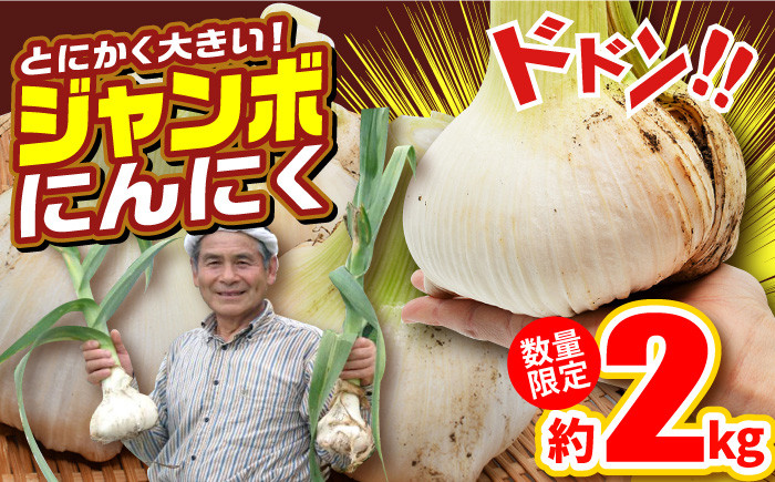 
            【先行予約】【季節限定】【着日指定 可能】【安心安全！ホクホク食感】ジャンボにんにく 【約2.0kg】平戸市/しげさん農園 [KAA316]
          