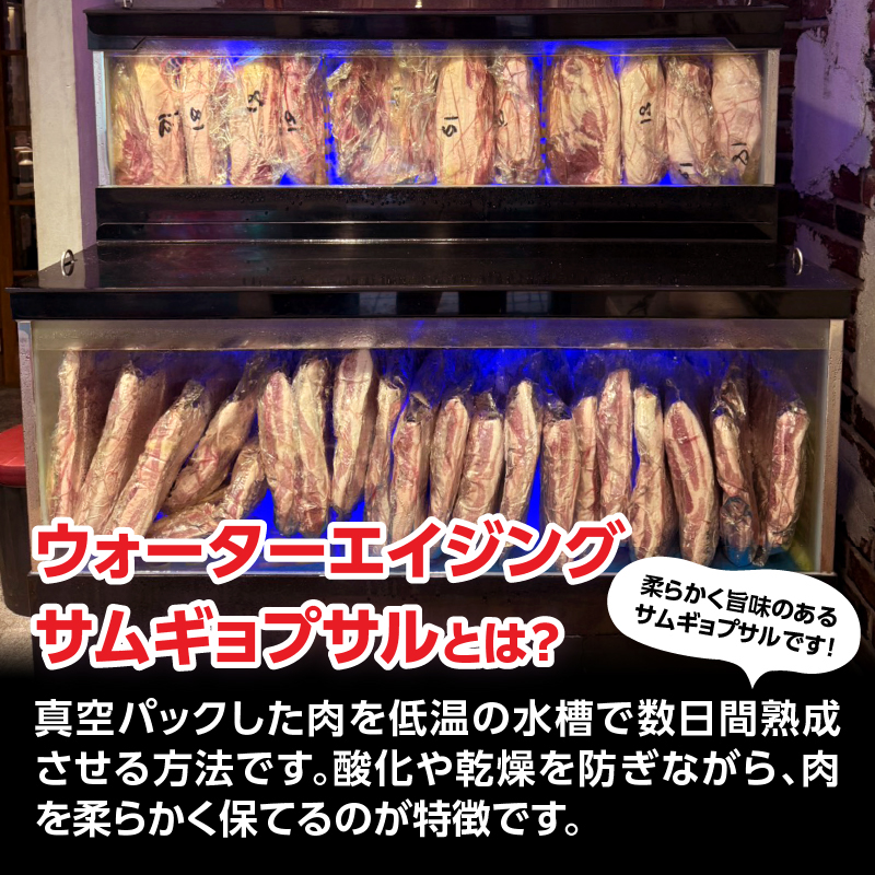 ウォーターエイジングサムギョプサル店ナンマンゴギお食事券30,000円分