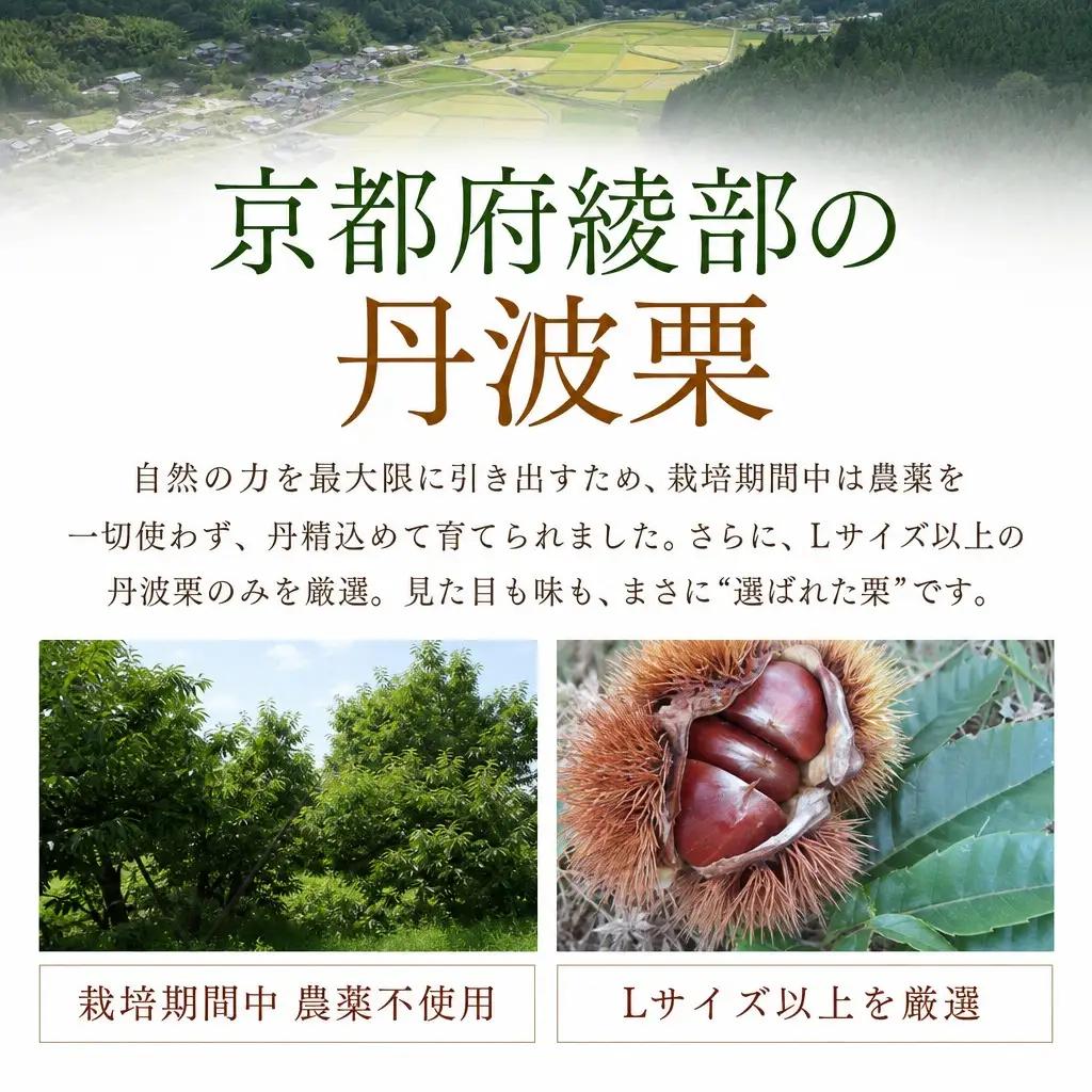 丹波焼き栗 400g 栗 