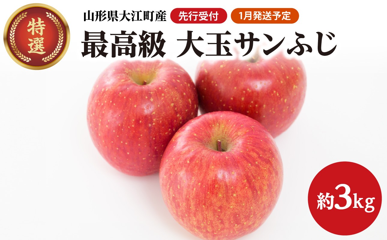 
            《先行予約》【1月発送予定】 最高級 特選大玉サンふじ約3kg　【大江町産・山形りんご・大地農産】【028-027】
          