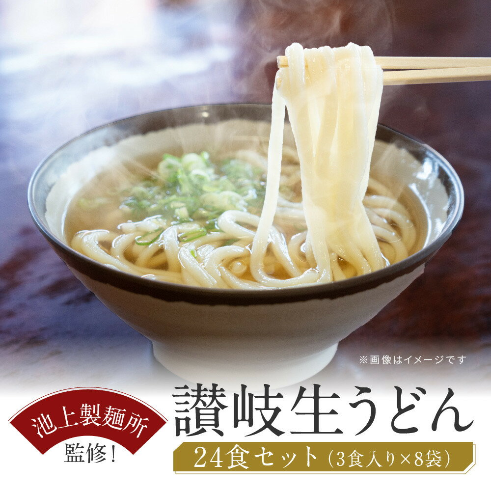 【ふるさと納税】讃岐生うどん24食入（1袋3食入×8袋）＊鎌田醤油だし醤油付＊池上製麺所監修！｜うどん 生麺 | 香川県 坂出市 香川 四国 楽天ふるさと 納税 返礼品 お取り寄せグルメ 取り寄せ グルメ 食品 麺 めん 麺類 ご当地グルメ お取り寄せ 讃岐うどん さぬきうどん