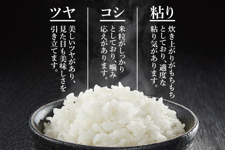 【3ヶ月定期便】茨城県特別栽培認証 清明川コシヒカリ白米5kg【米 おこめ こしひかり  特別栽培米 農家直送 直送 茨城県 阿見町】（04-03）