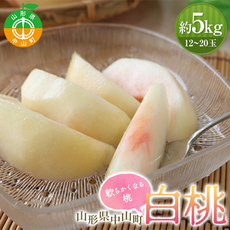 【ふるさと納税】 《2026年先行受付》山形県中山町産 白桃 秀品 5kg 品種おまかせ 軟らかくなる桃 12～20玉 もも モモ フルーツ 果物 くだもの 山形県産 F4A-0379