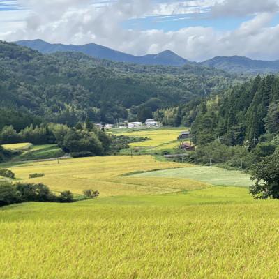 ふるさと納税 松江市 【毎月定期便】プレミアム仁多米(なおらい米)真空パック 2kg×5袋(松江市)全6回 |  | 03