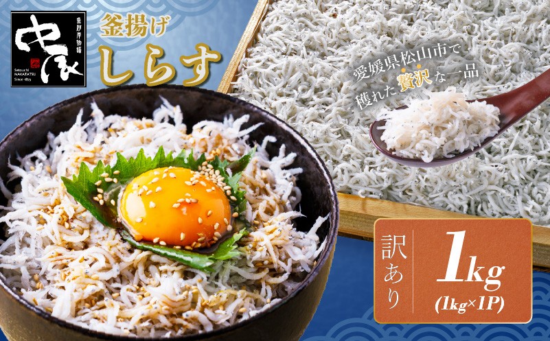 
                  訳ありしらす 1kg (1kg×1) | 米 に合う 釜揚げしらす お取り寄せ シラス グルメ 人気 おすすめ 釜揚げシラス 愛媛県産  shirasu sirasu お歳暮 お中元 ギフト 暑中見舞い お祝い 魚介 特産品 贈答 プレゼント 天然 愛媛 松山 中辰
                