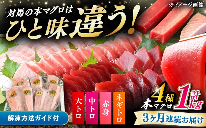 
                  【全3回定期便】対馬産 本マグロ 4種 計1kg（赤身/中トロ/大トロ/ネギトロ）《対馬市》 【対海】[WAH006] マグロ まぐろ 鮪 本鮪 本マグロ 養殖 トロ 中トロ 中とろ 大トロ 大とろ 赤身 ねぎとろ ネギトロ たたき 刺身 冷凍 海鮮 魚 柵 お祝い 贈答 定期便 毎月届く
                