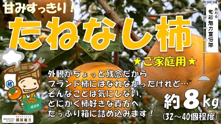 【先行予約】【訳あり】 甘みすっきり！あわらのたねなし柿 約8kg（32個～40個）（ご家庭用）／ 果物 フルーツ 産地直送 期間限定 ※2025年10月中旬以降準備出来次第発送 [aw031-a004]