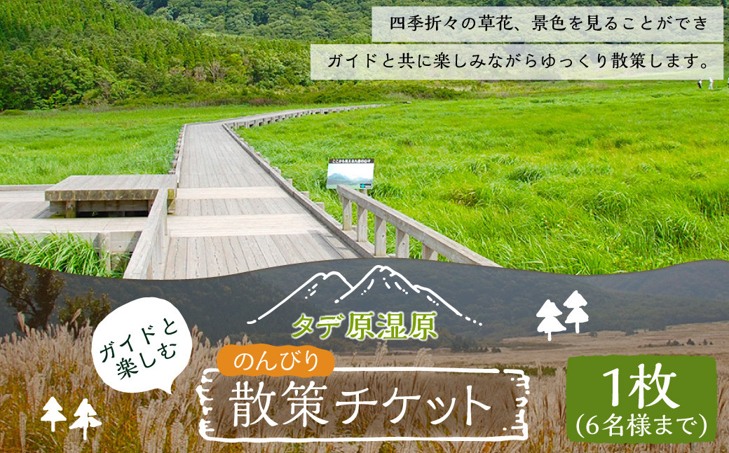 ガイドと楽しむタデ原(たでわら)湿原 のんびり散策チケット 1枚 6名様