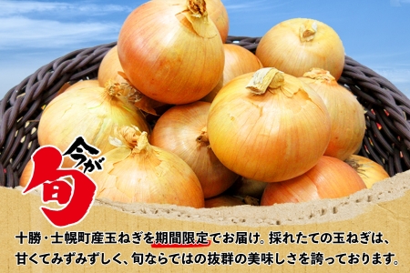 《期間限定》北海道 士幌産 たまねぎ 玉ねぎ タマネギ 玉ネギ 玉葱 10kg (2025年12月発送予定)  採れたて オニオン 旬の野菜 期間限定 新鮮 野菜 産地直送 産直 お取り寄せ 送料無料