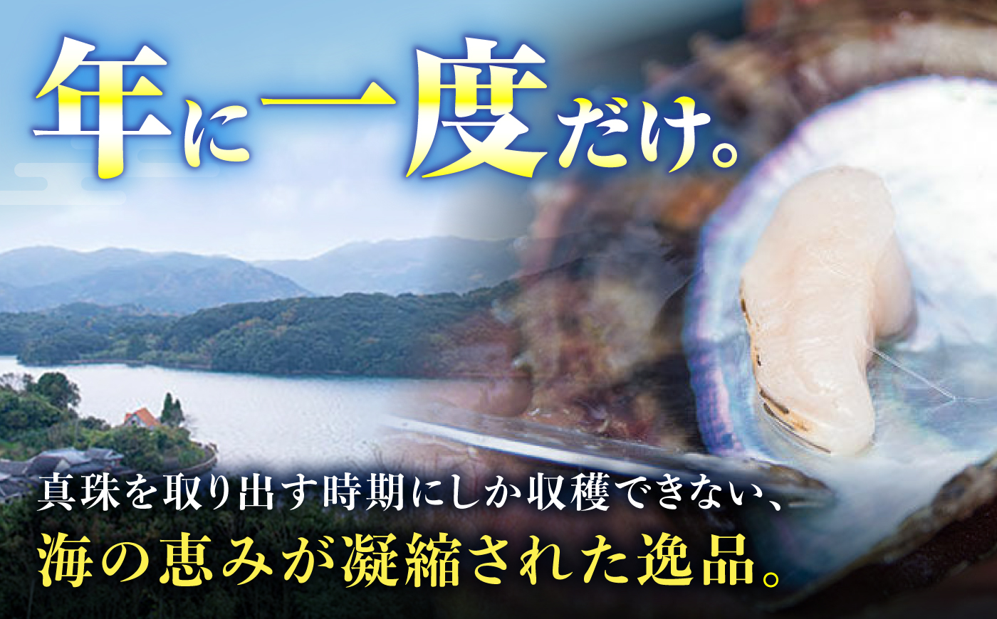 先行予約 冷蔵 アコヤ貝柱 2kg ＜大村湾漁業協同組合西彼支所＞ [CBZ012] 真珠貝 アコヤ貝柱