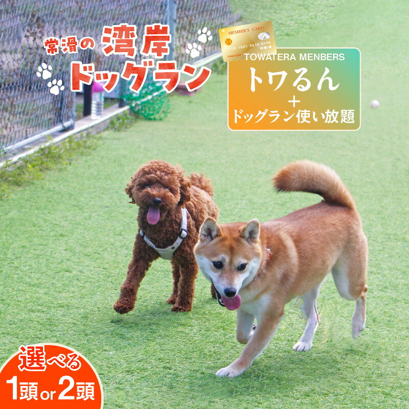 【ふるさと納税】「トワるん」会員入会＋ドッグラン使い放題《選べる頭数1頭 / 2頭》ドッグラン、ペットホテルなどをお得に利用できる【TOWATERAメンバーズ】 犬 ペット おでかけ 知多半島 観光 プール トリミング ペットホテル カフェ ペット同伴 会員権