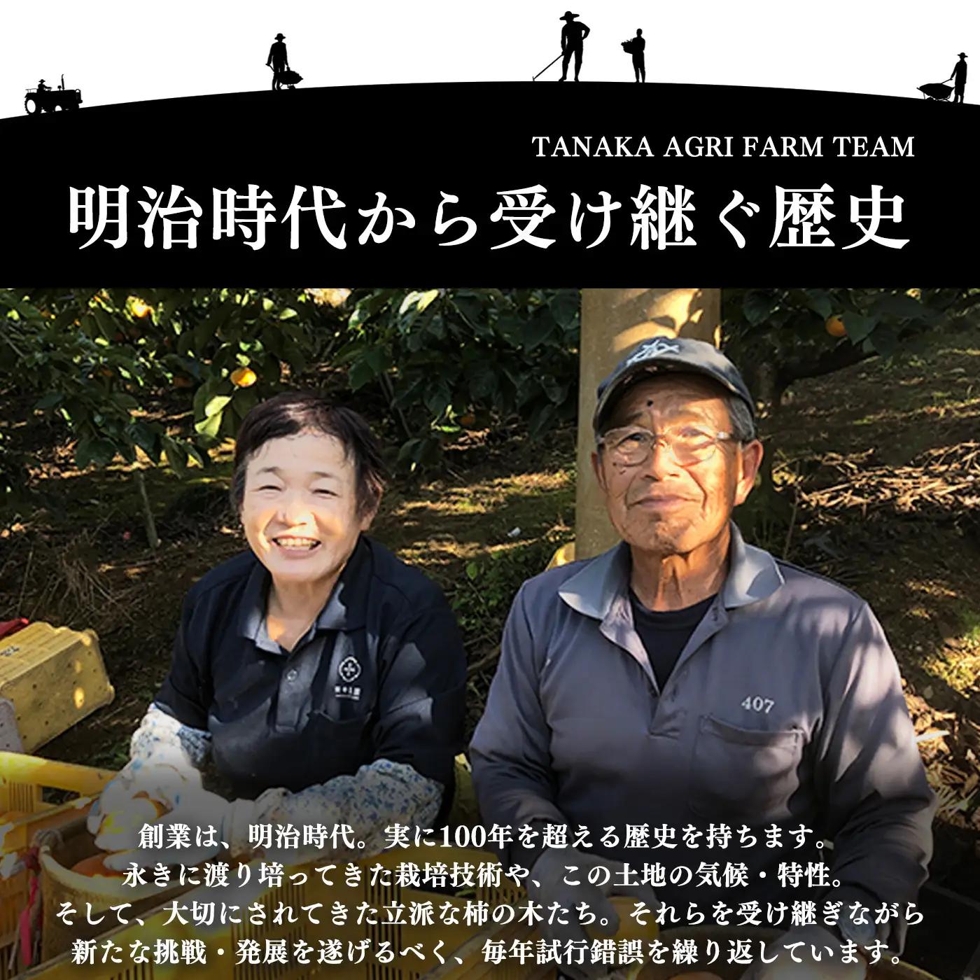 トマト約4kg 23玉～25玉   | ヤサイ 野菜 やさい トマト とまと 野菜 大玉 | 奈良県 五條市