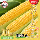 【ふるさと納税】 【先行予約】朝採れ スイートコーン 10本入り おおもの ／ とうもろこし 甘い 野菜 黄色 低農薬 有機肥料 ※2024年10月上旬より順次発送