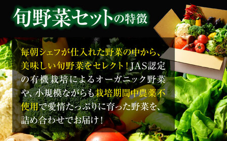【全3回定期便】 【シェフの目線】　野菜 （6-7種）　少量食べきりセット　 野菜 やさい 少量セット 食べきり[AGBX044]