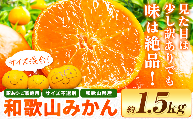 和歌山県産 訳あり みかん (3S～3L) 約1.5kg《11月上旬-12月末頃出荷》和歌山県 日高川町 果物 フルーツ 訳ありみかん 家庭用