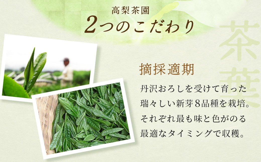 009-31日本茶 彩り5種セット（玄米茶、ほうじ茶、和紅茶、高級煎茶、美発酵茶）