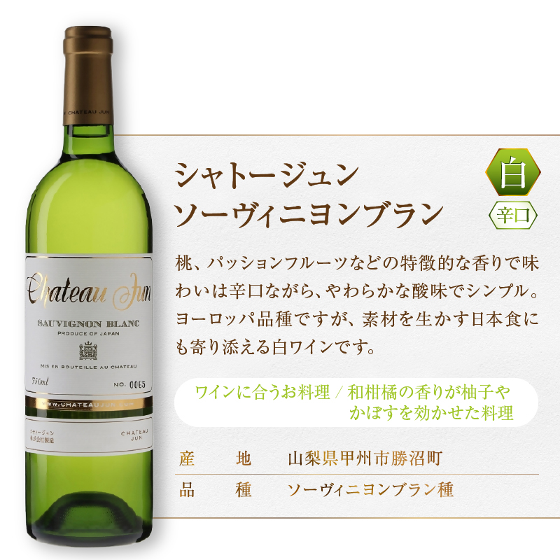 シャトージュン 3品種飲み比べセット【PETIT VERDOT・MERLOT・SAUVIGNON BLANC】（MG）E-663