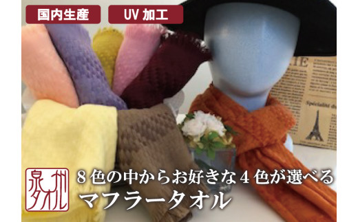 泉州タオル コットン マフラータオル お好きな 4色 セット ｜ 日本製 綿100％ シルケット加工 UVカット加工 ｜ ウォーキング ガーデニング スポーツ観戦 紫外線 日焼け対策 日焼け止め 日焼け 日差し UV マフラー ネック ストール タオル カラー 国産 日用品 大阪泉州 大阪府 阪南市