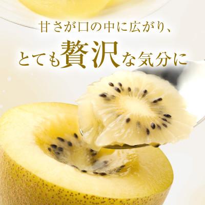 ふるさと納税 高松市 【先行受付2025年】さぬきゴールドキウイ化粧箱　約1.4kg |  | 02